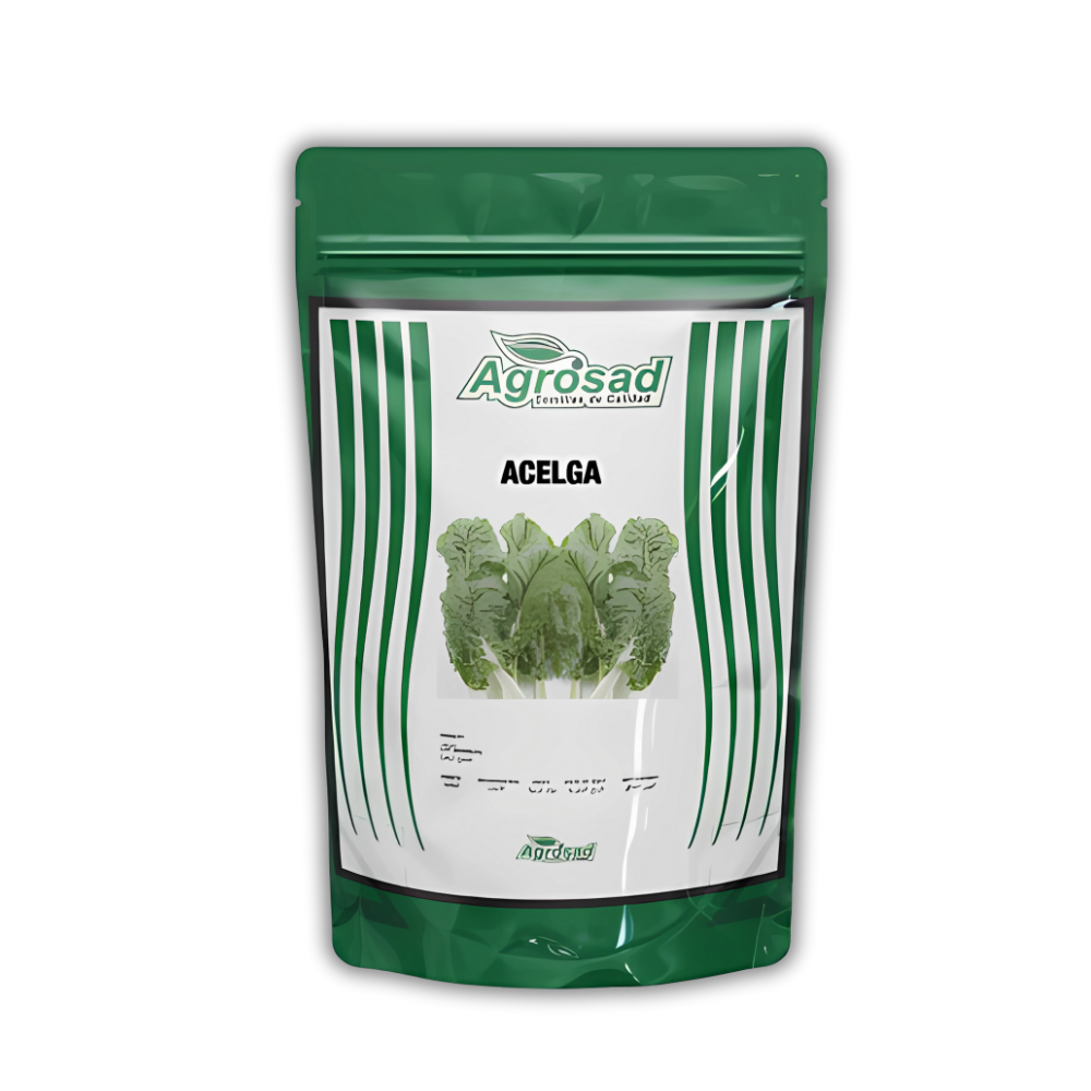 Acelga