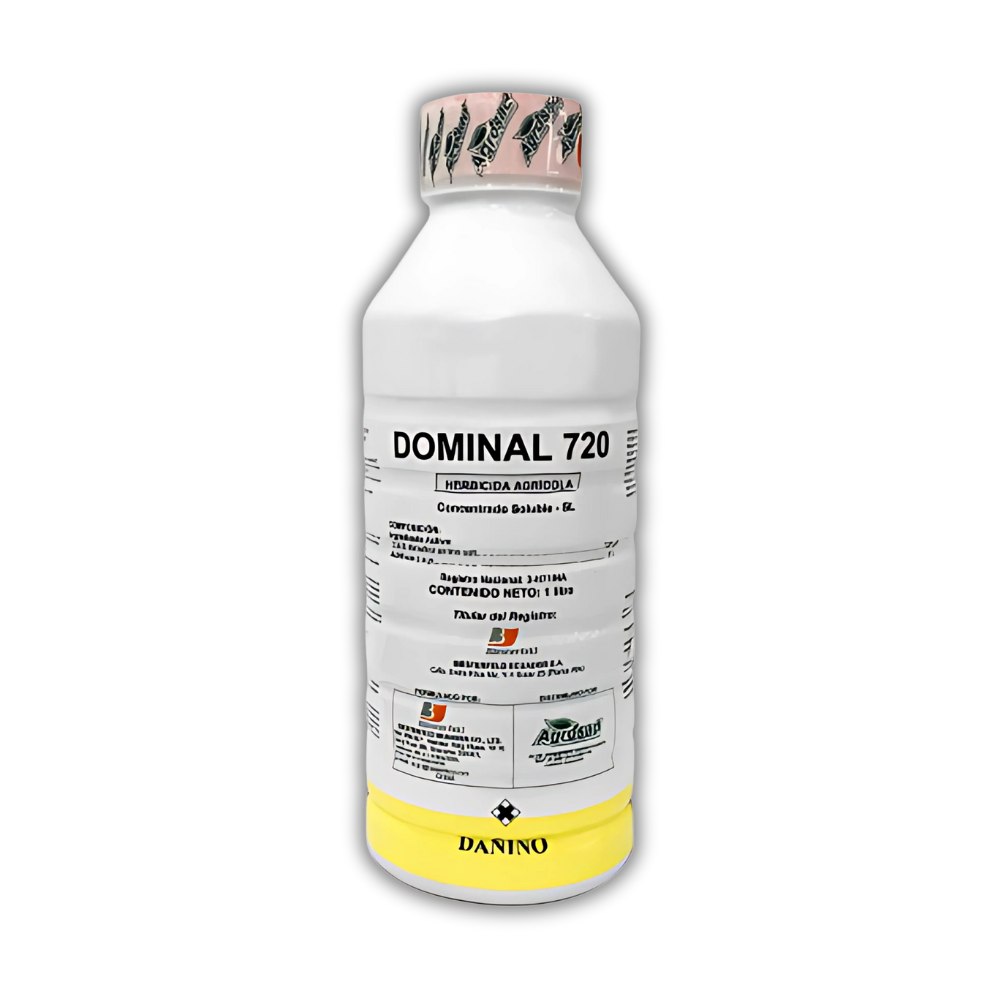 Dominal