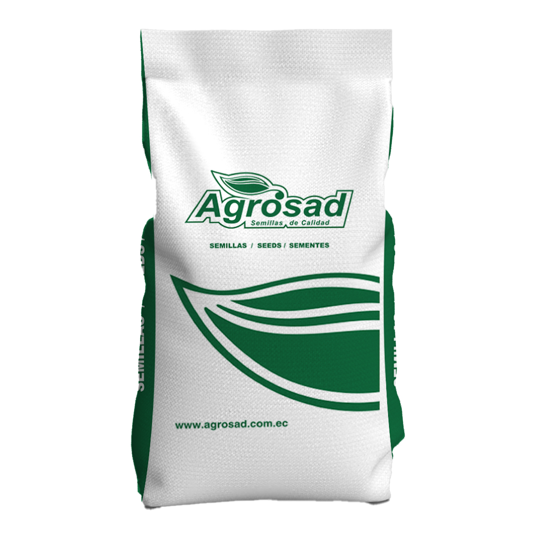 sacoa-agrosad-blanco4